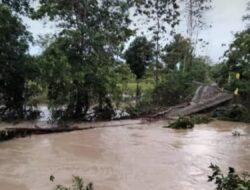 Curah Hujan Tinggi, 5 Kecamatan di Bone Terendam, Ratusan Hektare Sawah Terancam Gagal Panen