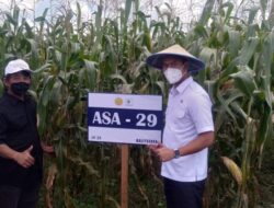 Peringati Hari Tani Nasional, Bupati ASA Sebut Petani Pahlawan Pangan