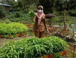 Pulihkan Ekonomi Keluarga Di Masa Pandemi, Dinas Ketapang Sinjai Berikan Bantuan Program P2L