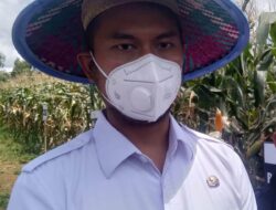 Peringantan Hari Pangan Sedunia, Bupati ASA Berharap: Dapat Menjadi Momentum Terwujudnya Pembangunan Ketahanan Pangan Sinjai