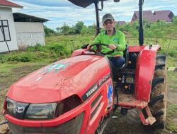 Budidaya Talas Saphira Warga Sinjai Tembus Pasar Jepang, Yuk.. Simak Caranya