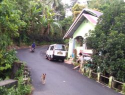 Rangsang Pertumbuhan Ekonomi Di Derah Terisolir, Pemkab Sinjai Permantap Akses Jalan