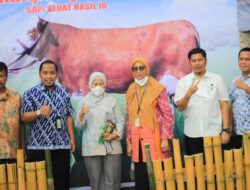 Kinjungi Lokus Program KKS Sinjai, Tim Verifikasi Pusat Puji Program Kampung Sehati