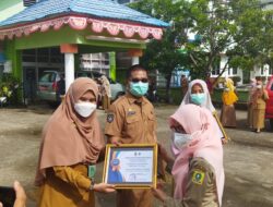 Peringatan Hari Kesehatan Nasional, Nakes Di Sinjai Terima Penghargaan