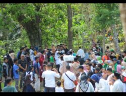 Hadiri Pesta Adat ‘Mappugau Sihanua’ Budaya Lokal Kebanggaan Sinjai, Sekda: Sudah Diakui Pusat, Patut Kita Lestarikan