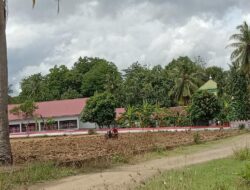 Efek Kalah Pilkades, Mantan Kades di Bone Garap Lapangan Bola Jadi Lahan Pertanian
