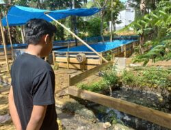 Limbah Ternak Lele Pejabat Di Bone Dibuang Kesungai, Warga Mengeluh: Airnya Bau Kami Tidak Tahan