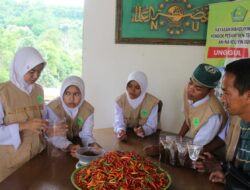 Digagas Bersama Santri, BMT Pesantren Agrobisnis Gunung Lerang Akan Launcing Prodak Boon Cabe