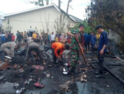 Si Jago Merah Mengamuk Di Watang Palakka,Nenek Saleha Jadi Korban