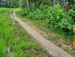 Gunakan Anggaran Dana Desa Ratusan Juta, Proyek Jalan Tani Di Barebbo Dikerjakan Asal-Asalan