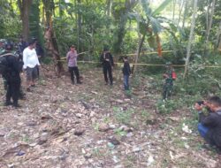 Penemuan Granat Nenas Aktif, Hebohkan Warga Bone