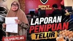 Tipu Puluhan Pedagang Telur, Wanita Paru Baya Di Bone Di Lapor Polisi