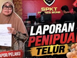 Tipu Puluhan Pedagang Telur, Wanita Paru Baya Di Bone Di Lapor Polisi